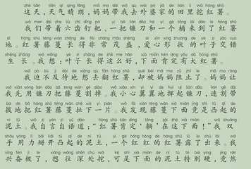 我学会了挖红薯