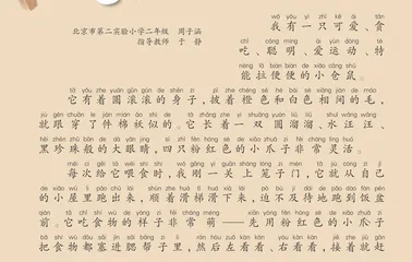 仓鼠