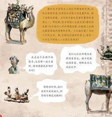 骆驼背上的舞台