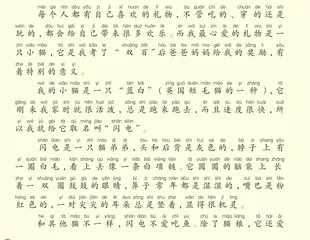 我的“闪电”猫