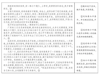 见解新颖