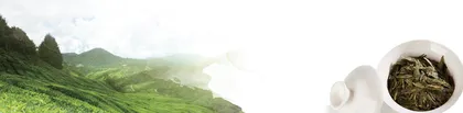 爷爷的龙井茶