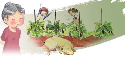 姥姥的菜园