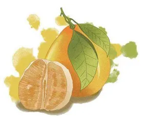 吃柚子的收获