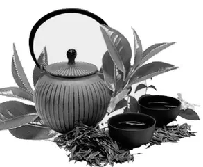 茶是家乡醇