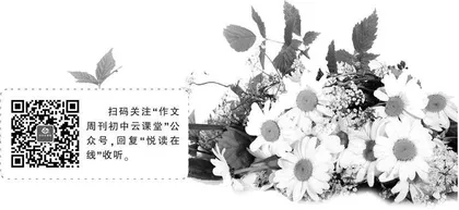 路边的小雏菊