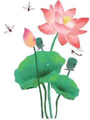 荷花赞