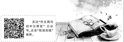 那个夏天
