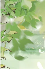 怀念盛夏
