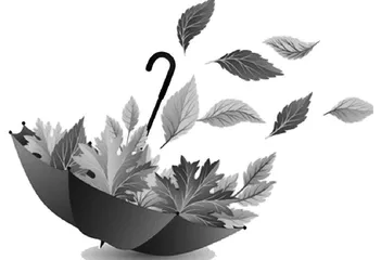 爷爷的枫叶