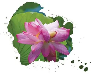 友谊