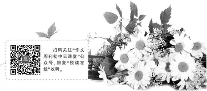 路边的小雏菊