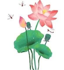 荷花赞