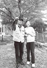 藏在时光里的红蜻蜓
