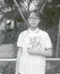 入画