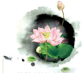 平凡中蕴藏的光亮