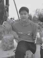 最后的骑士
