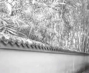 天府印迹 