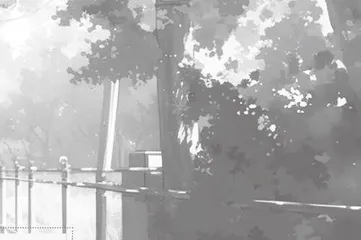一排静静的树 
