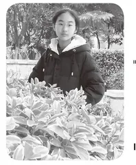 难忘那盏星灯