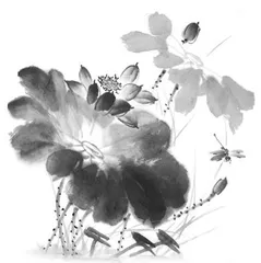 良知与悲悯
