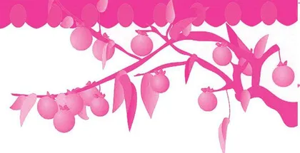“柿柿”如意