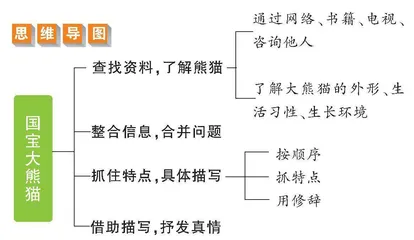 国宝大熊猫黄红兵