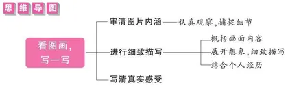 看图画，写一写