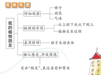我的植物朋友
