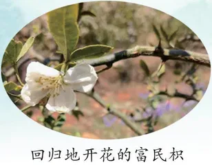 时隔十六年，它“复活”了