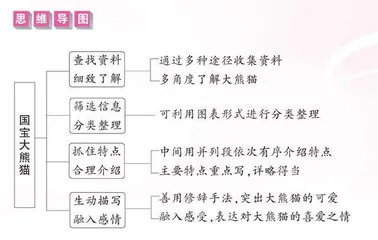 国宝大熊猫