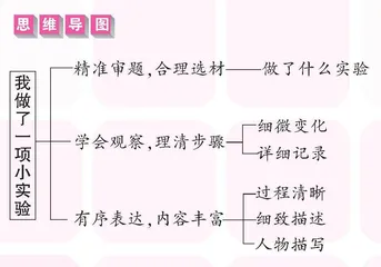 小实验里的大奥秘