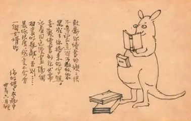 我的外婆林徽因2