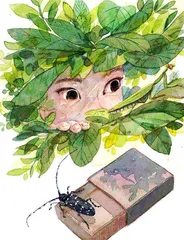 孤独的昆虫少年