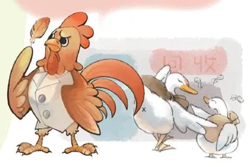 为什么没有“鸡绒羽绒服”