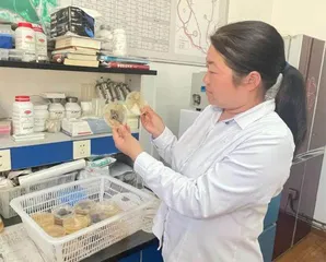 颐和园里的捉虫博士