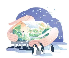 我在南极种蔬菜