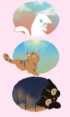 猫眼曾经当时钟
