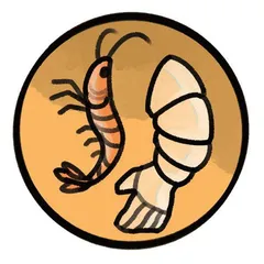 中国航天的独辟蹊径3