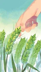 致敬播种的人