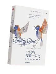 一只鸟接着一只鸟