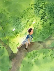 树上的男孩