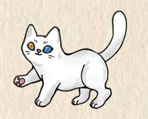 你的猫在古代叫什么3