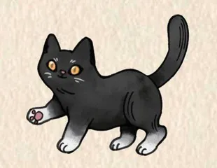 你的猫在古代叫什么7