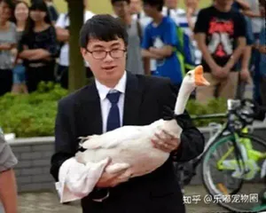 盘点中国大学里的“网红神兽”