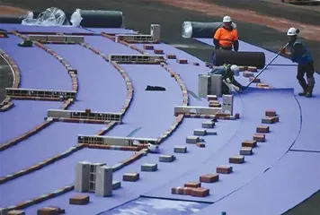 当巴黎奥运会遇上紫色跑道：来之不易的“紫色自由”1