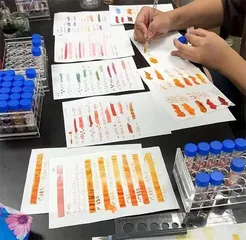余昊源:被色彩治愈1