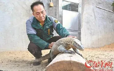 希望人人都有一颗“动物园脑袋”1
