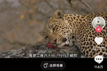 这届年轻人有自己的《动物世界》2