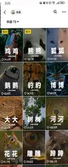 这届年轻人有自己的《动物世界》3